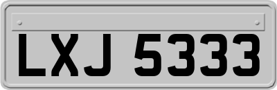 LXJ5333
