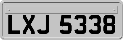 LXJ5338