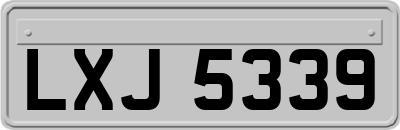 LXJ5339