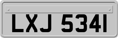 LXJ5341