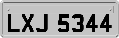LXJ5344
