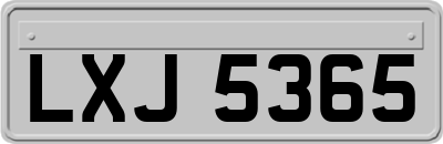 LXJ5365