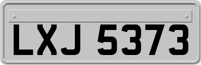 LXJ5373