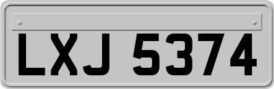 LXJ5374