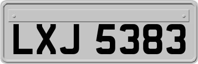 LXJ5383