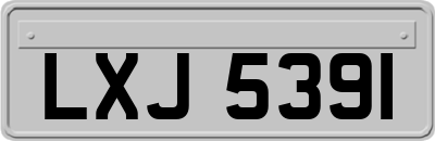 LXJ5391