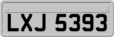 LXJ5393