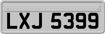 LXJ5399