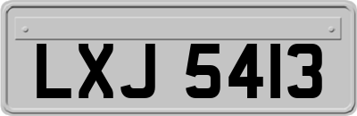 LXJ5413