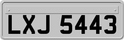LXJ5443
