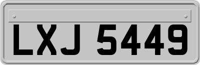 LXJ5449