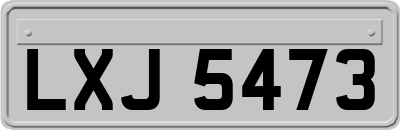LXJ5473