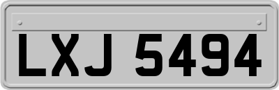 LXJ5494