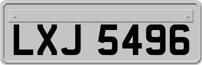 LXJ5496