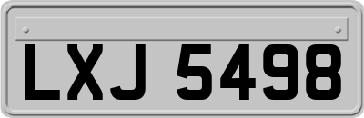 LXJ5498