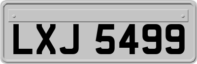 LXJ5499