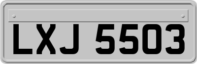 LXJ5503