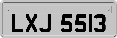 LXJ5513