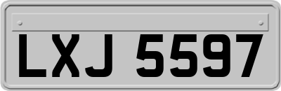 LXJ5597