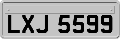 LXJ5599