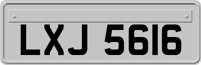 LXJ5616