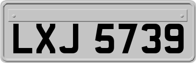LXJ5739