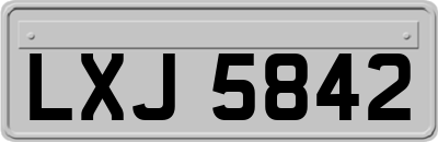LXJ5842