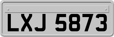 LXJ5873