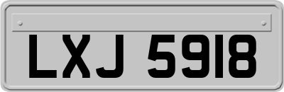 LXJ5918