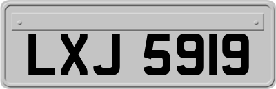LXJ5919