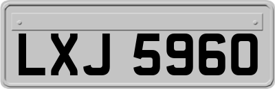 LXJ5960