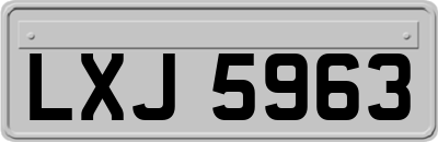 LXJ5963