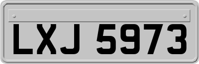 LXJ5973