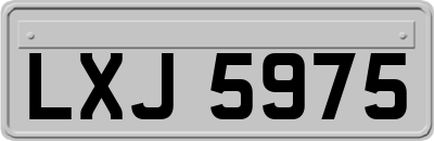 LXJ5975
