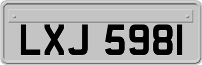 LXJ5981