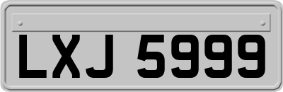 LXJ5999