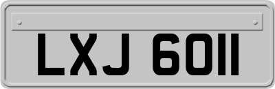 LXJ6011
