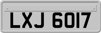 LXJ6017