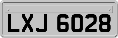 LXJ6028