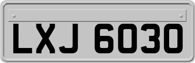 LXJ6030