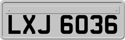 LXJ6036