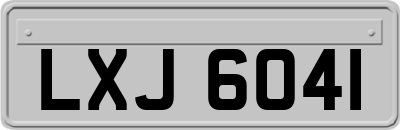 LXJ6041