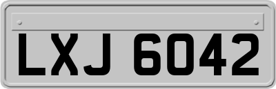 LXJ6042