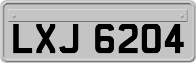 LXJ6204