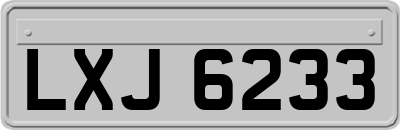 LXJ6233
