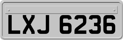 LXJ6236