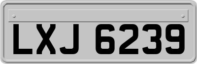 LXJ6239