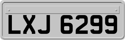 LXJ6299