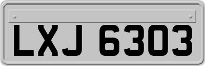 LXJ6303