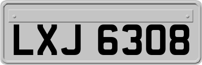 LXJ6308